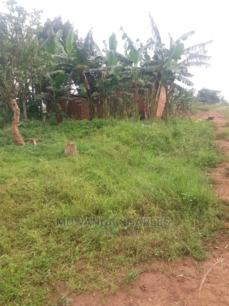 100by50ft Plot of Land for Sale at Busukuma