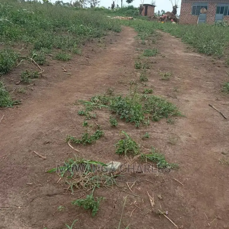 100by50ft Plot of Land for Sale at Busukuma