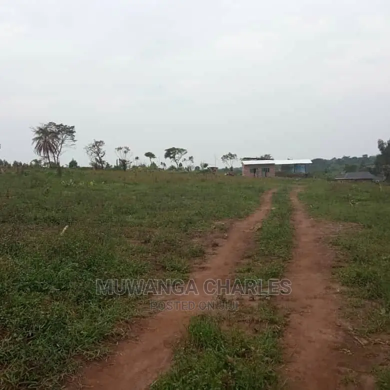 100by50ft Plot of Land for Sale at Busukuma