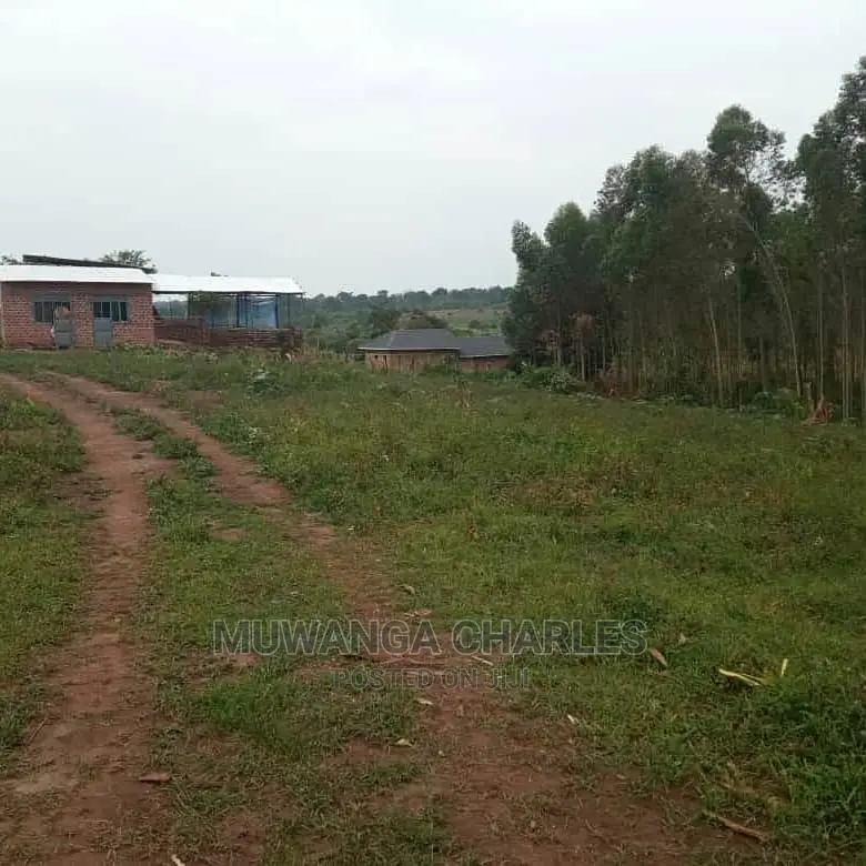 100by50ft Plot of Land for Sale at Busukuma