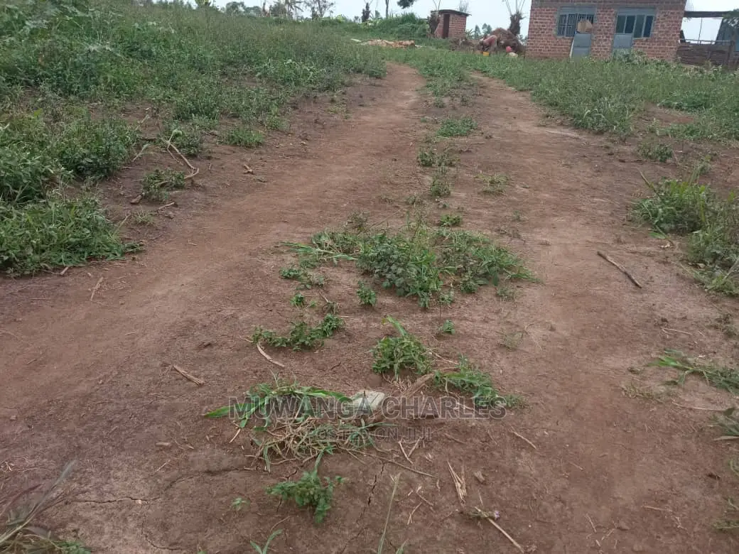 100by50ft Plot of Land for Sale at Busukuma