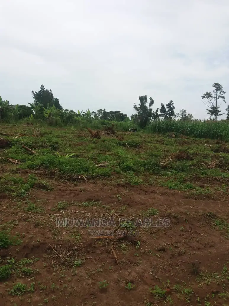 100by50ft Plot of Land for Sale at Busukuma