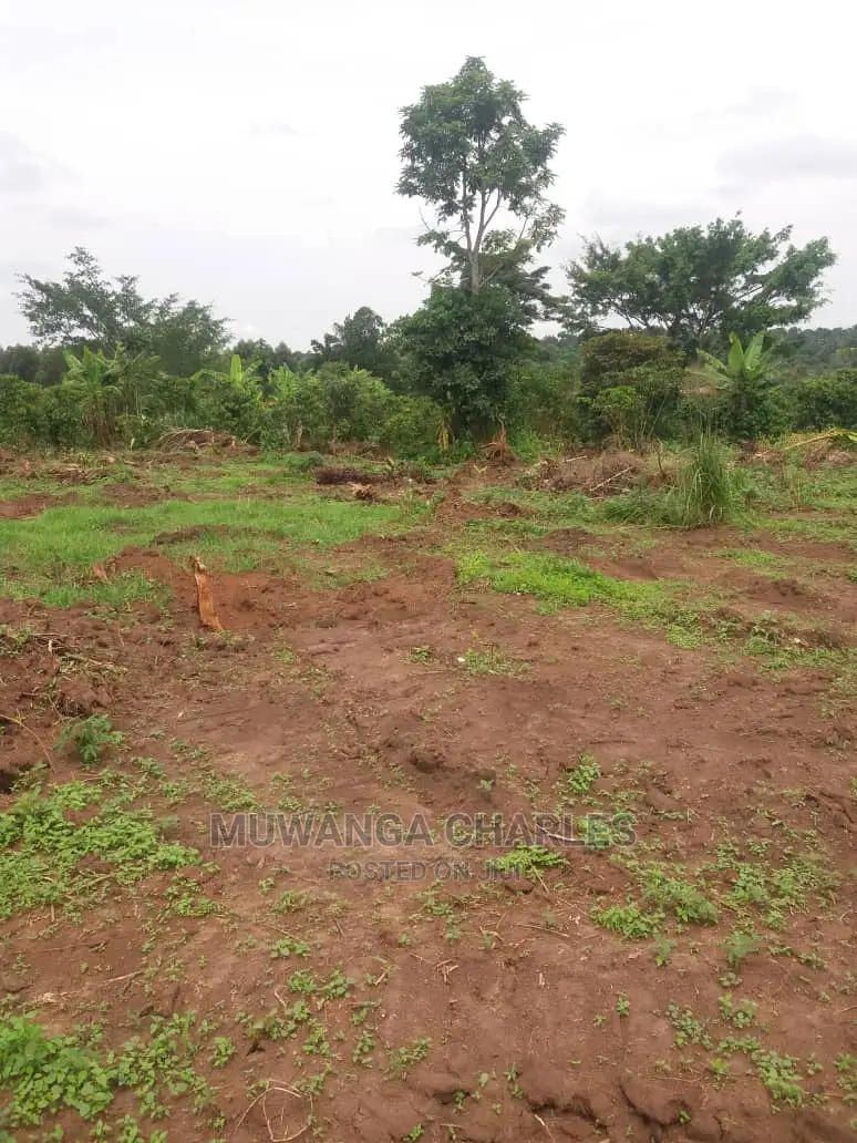 100by50ft Plot of Land for Sale at Busukuma