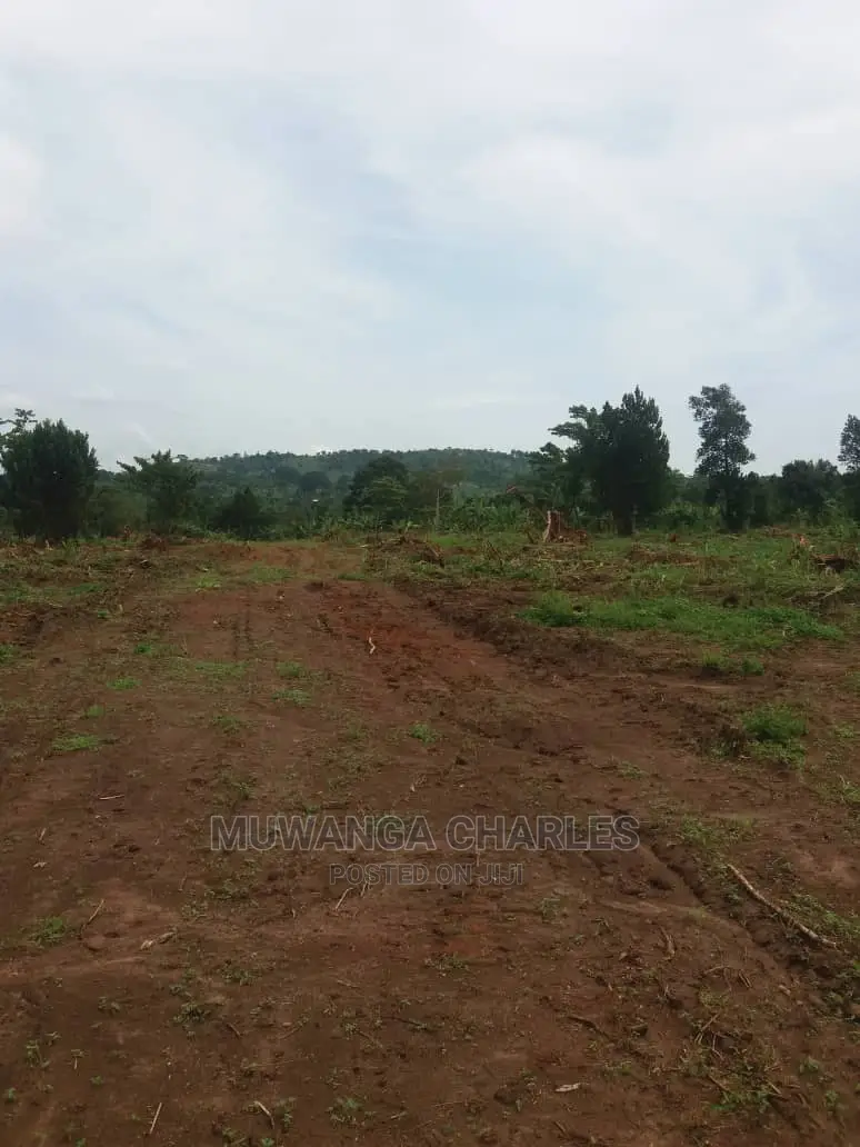 100by50ft Plot of Land for Sale at Busukuma