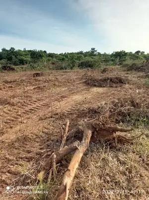 Very Nice Plots on Quicksale in Kamengo With Lake View