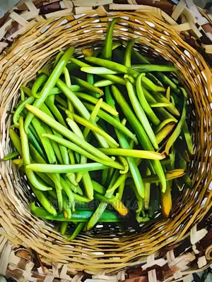Green Vanilla Pods