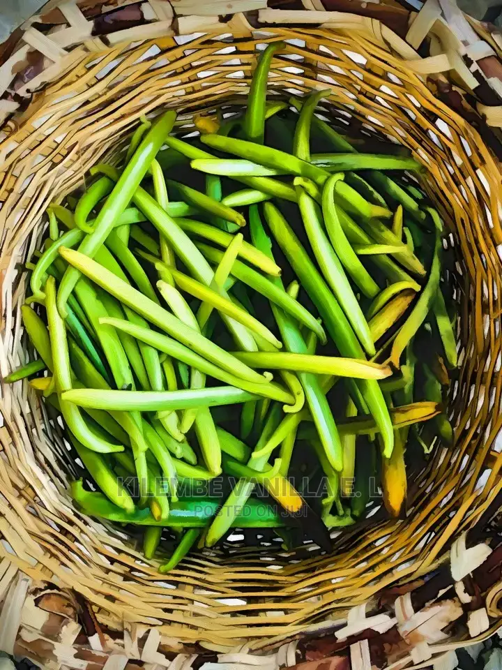 Green Vanilla Pods