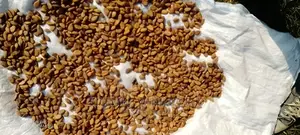 Dry Cocoa Beans