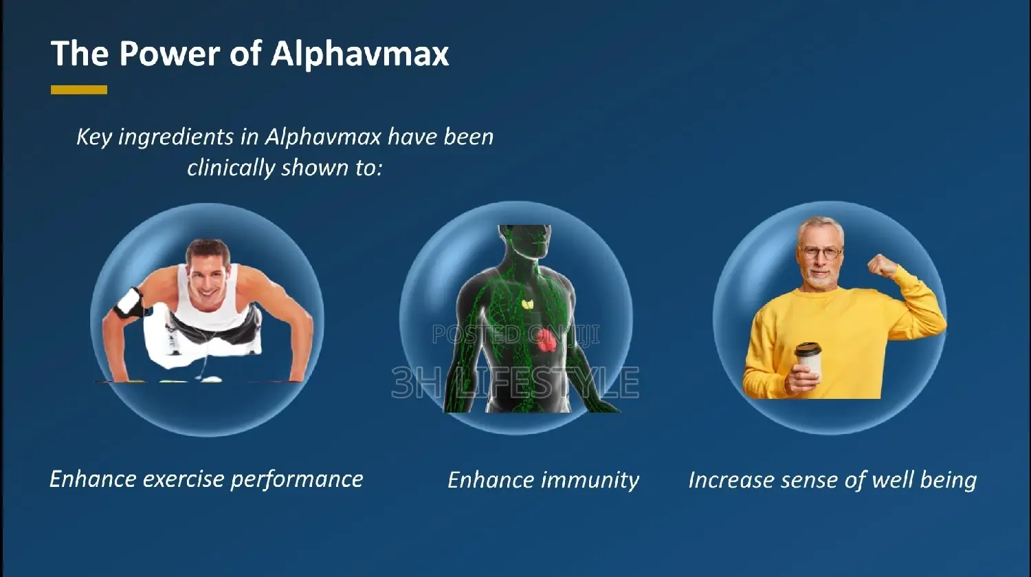 Alphavmax Be a Real Man