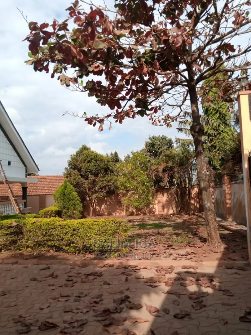 5bdrm Bungalow in Kololo Property, Central Division for Rent