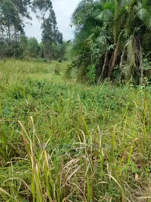 100acres for Sale at Nakaseke