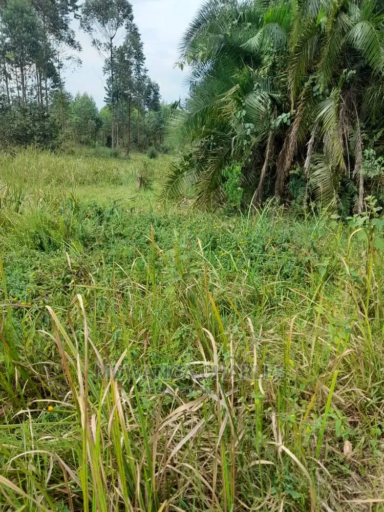 100acres for Sale at Nakaseke