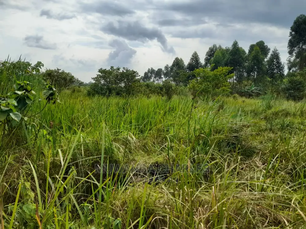 100acres for Sale at Nakaseke