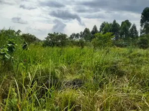 100acres for Sale at Nakaseke