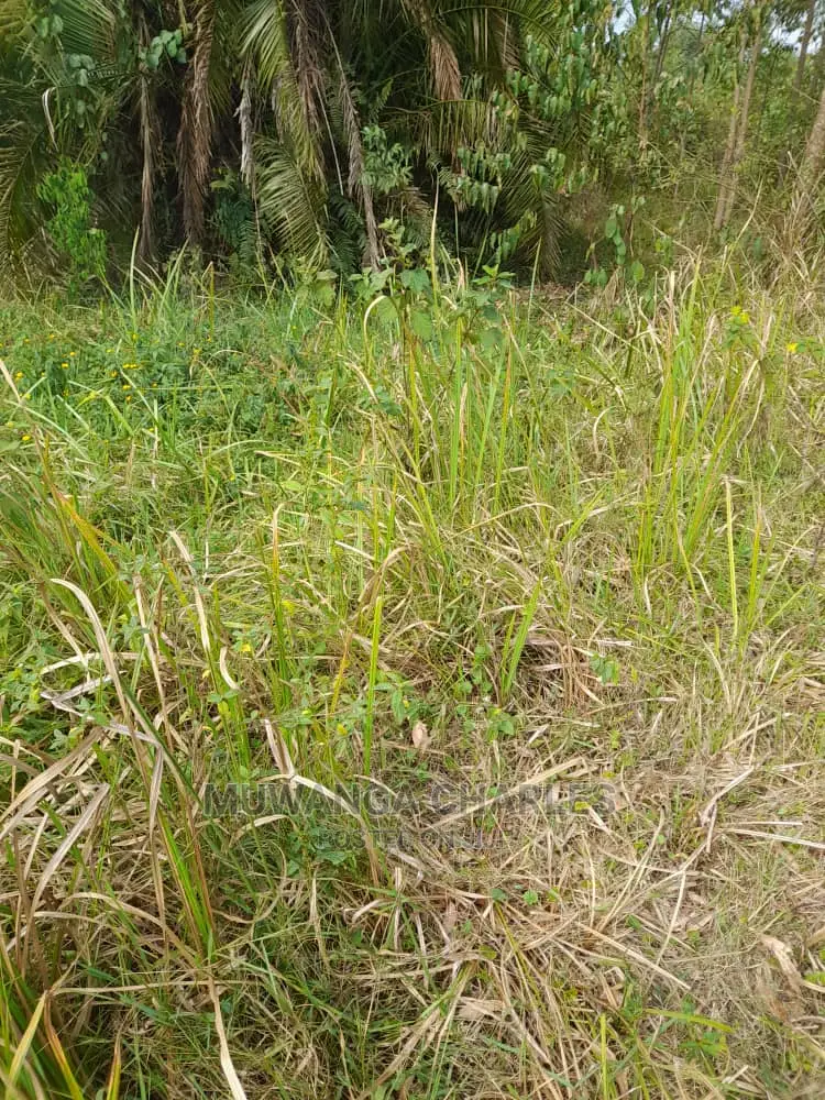 100acres for Sale at Nakaseke
