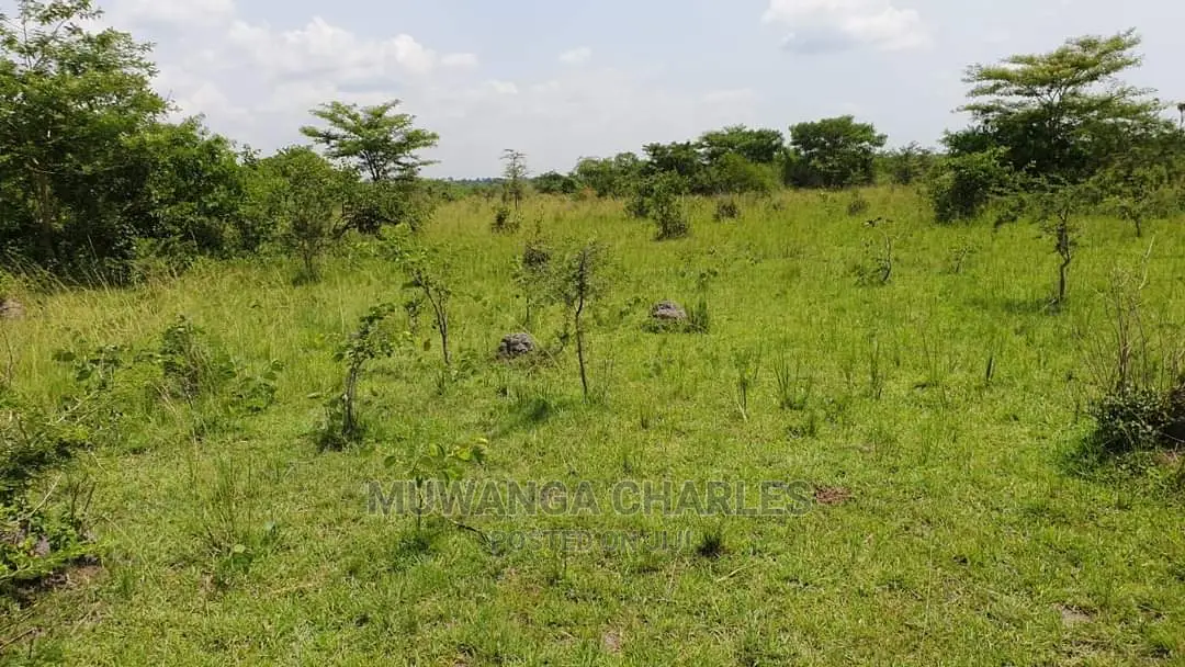 100acres for Sale at Nakaseke