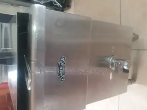 Linkrich Gas Deep Fryer