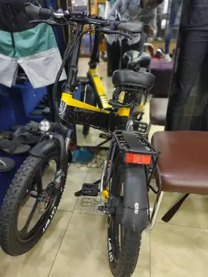 Lankeise Electic Bicycle