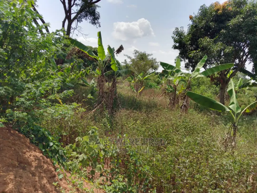 2acres of Farmland for Sale in Kikyusa