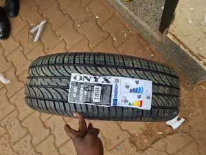 195/65r15 Onyx