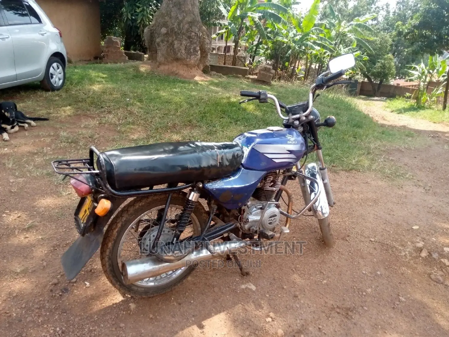 TVS 2012 Blue