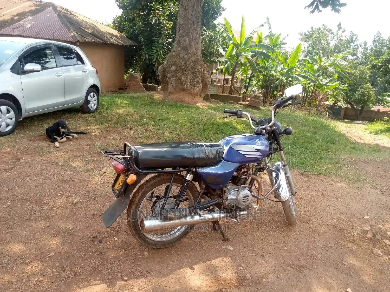 TVS 2012 Blue