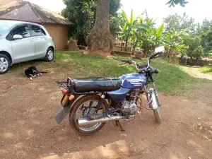 TVS 2012 Blue