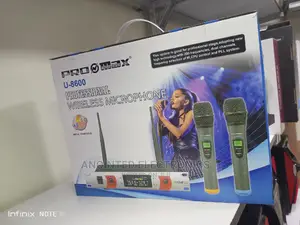 Professional Microphone