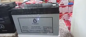 12v/100ah Freedom Battery