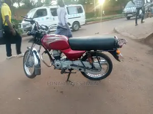 Bajaj 2019 Pink