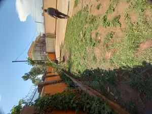 Furnished 4bdrm Bungalow in Kisaasi, Central Division for Sale