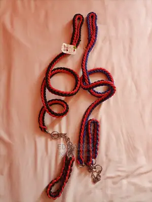 Strong Dog Leash
