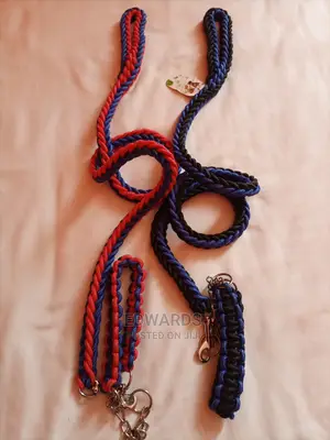 Dog Leash 4