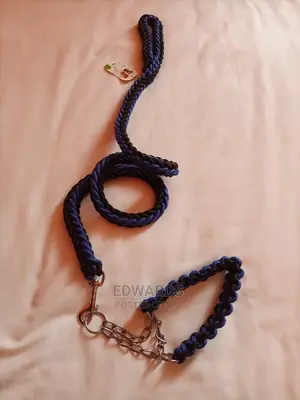 Dog Leash 4