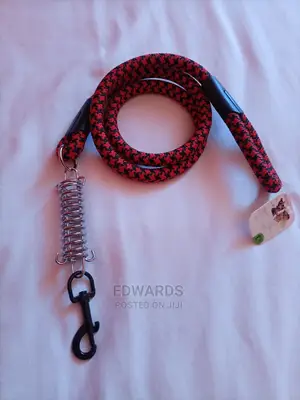 Leash For Dogs 2