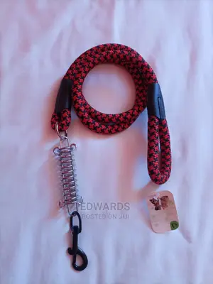 Leash For Dogs 2