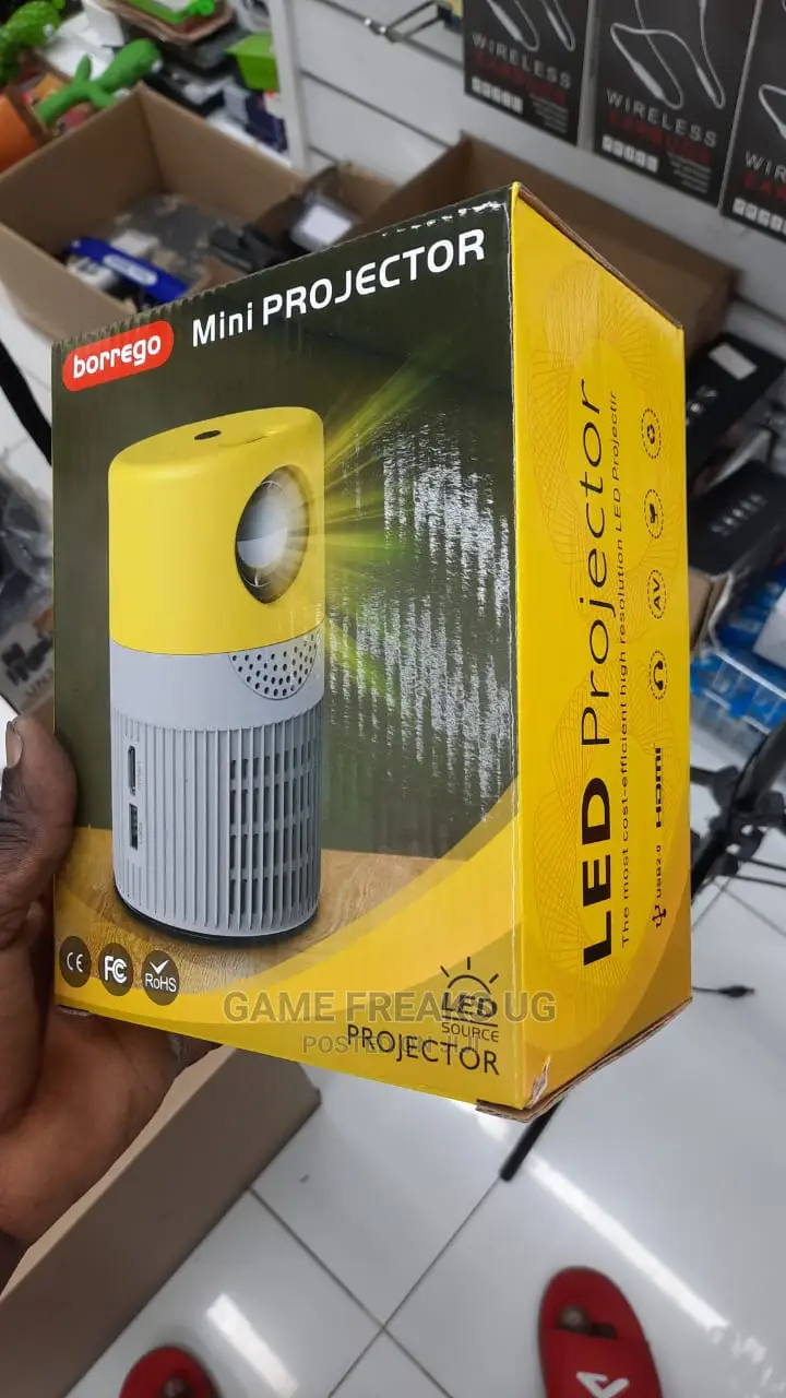 Borrego Mini Projector