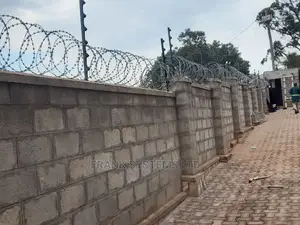 Electric Fence System With Razor