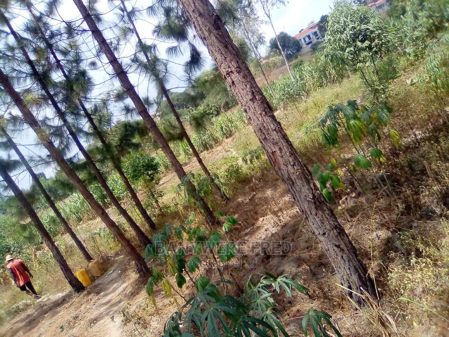 2acres of Land for Sale in Mbalwa