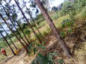 2acres of Land for Sale in Mbalwa
