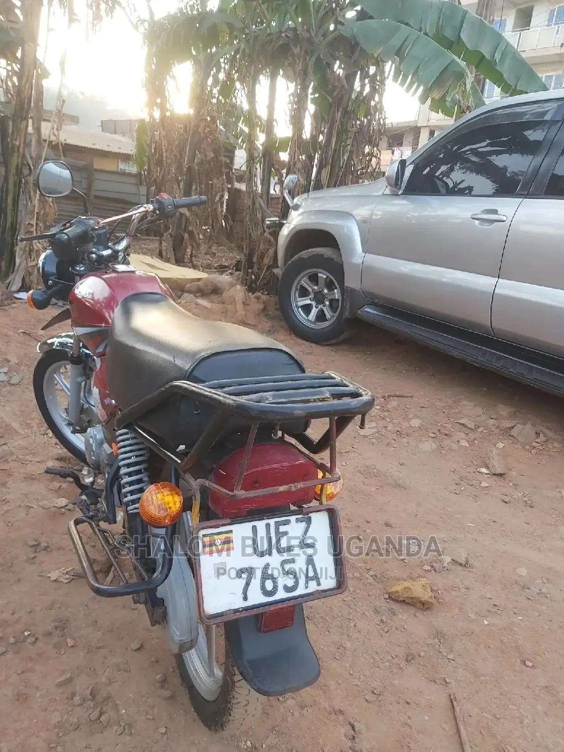 Honda Transalp XL600V 2021 Red