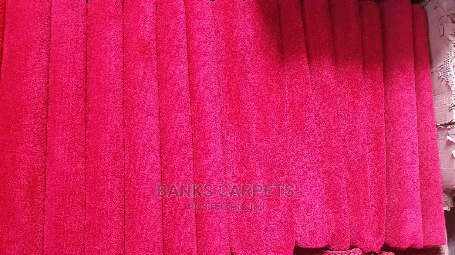 Soft Maloon Carpet