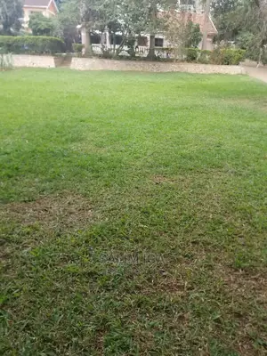 4bdrm Bungalow in Kololo Property, Central Division for Rent