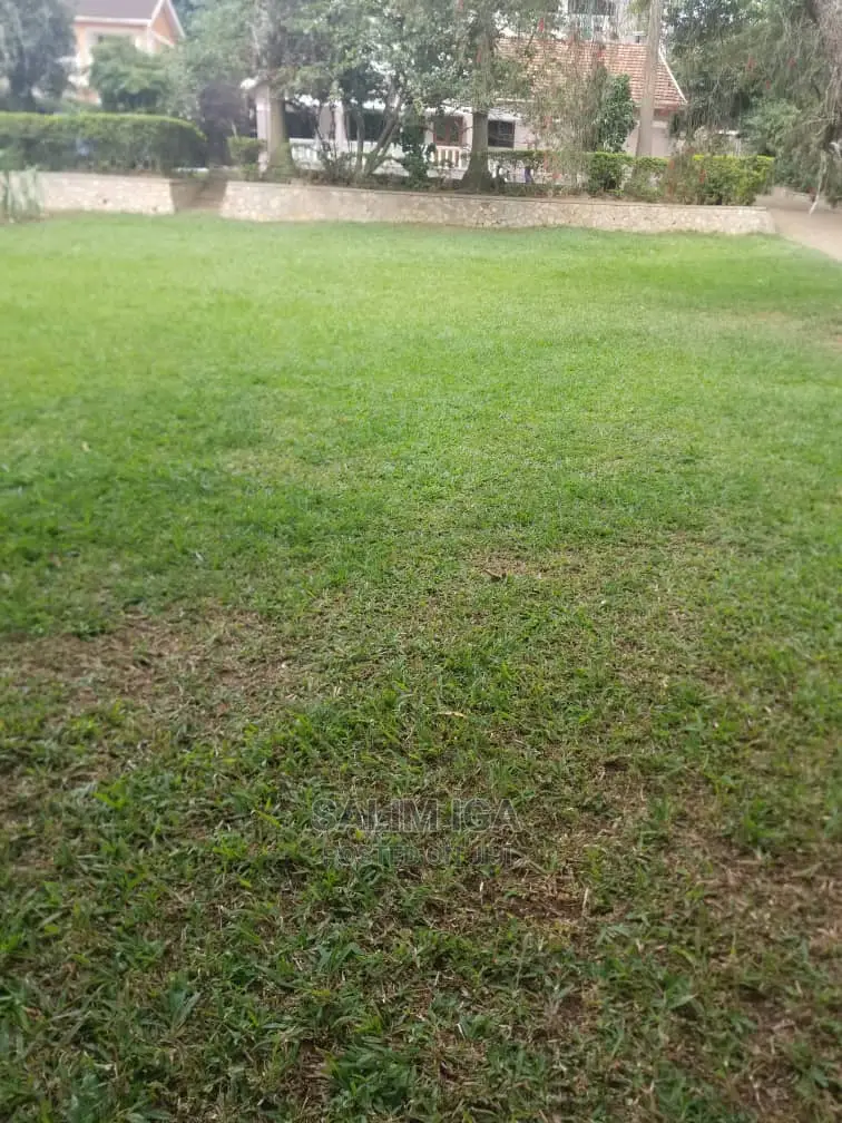 4bdrm Bungalow in Kololo Property, Central Division for Rent