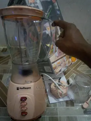 2in1 Hoffmans Blender (800W)
