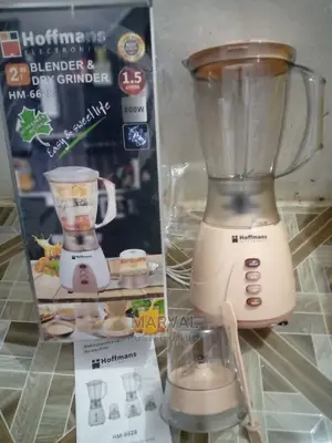 2in1 Hoffmans Blender (800W)