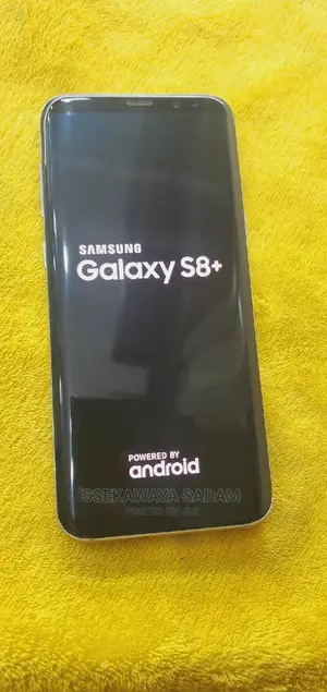 Samsung Galaxy S8 Plus 64 GB Gray