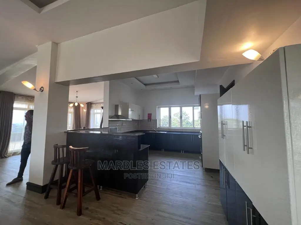Furnished 4bdrm Apartment in Kololo, Central Division for Rent