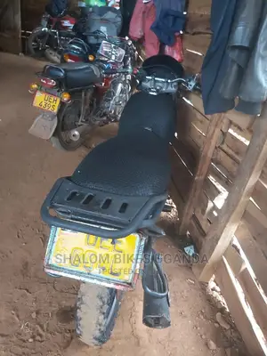 Big Dog 2018 Black