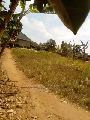 60/100 Plot for Sale in Kabubu